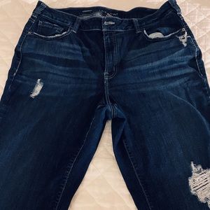 Lane Bryant Plus Woman Denim Jean Straight